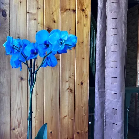 Longere Mit Pool By Interhome La Croix-Avranchin